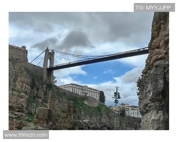 阿尔及利亚与及利亚的历史渊源与文化交融探讨