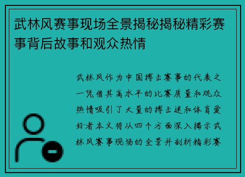 武林风赛事现场全景揭秘揭秘精彩赛事背后故事和观众热情